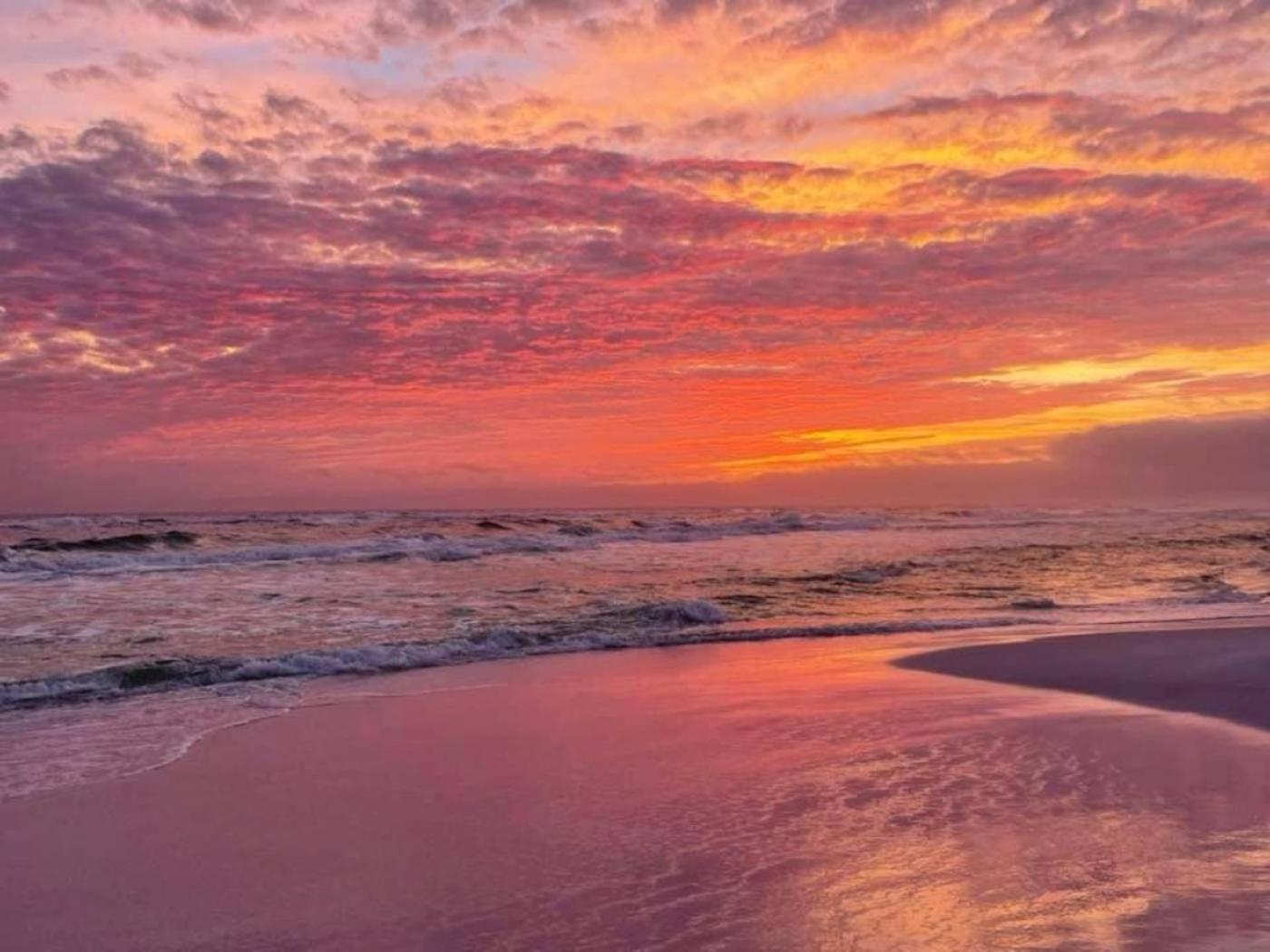 Sunrise Surprise 9Th Floor 2Br 2 Ba King Suite Beach Shuttle, Heated Pool! Destin Buitenkant foto